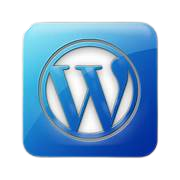 Course Curriculum of Learnmize Bhopal 8: WordPress Basics